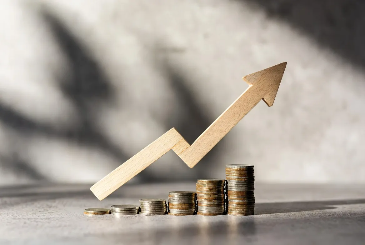 Hubungan Suku Bunga dan Margin Bunga Bersih