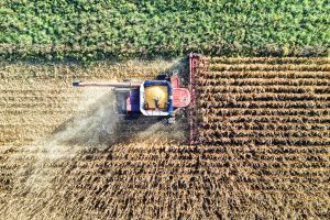 Training digitalisasi dalam bisnis agribisnis 